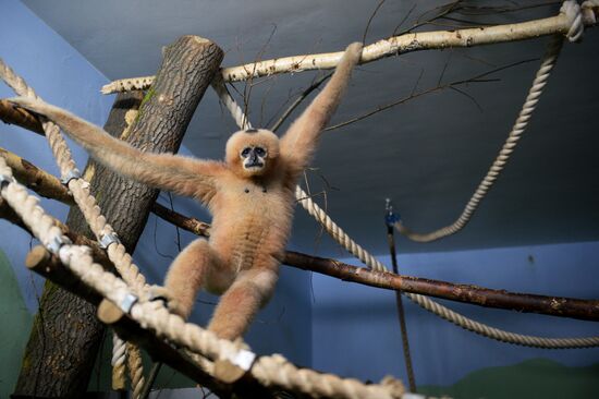 New inhabitants of Yekaterinburg Zoo