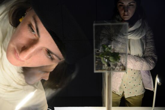 'Polytech.Science.Art: Science.Art.Technologies' exhibition opens in Moscow