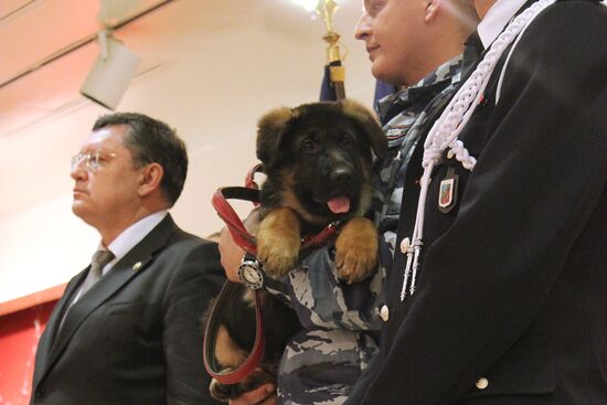 Puppy Dobrynya handed over as gift to French police