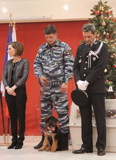 Presenting puppy Dobrynya to French police