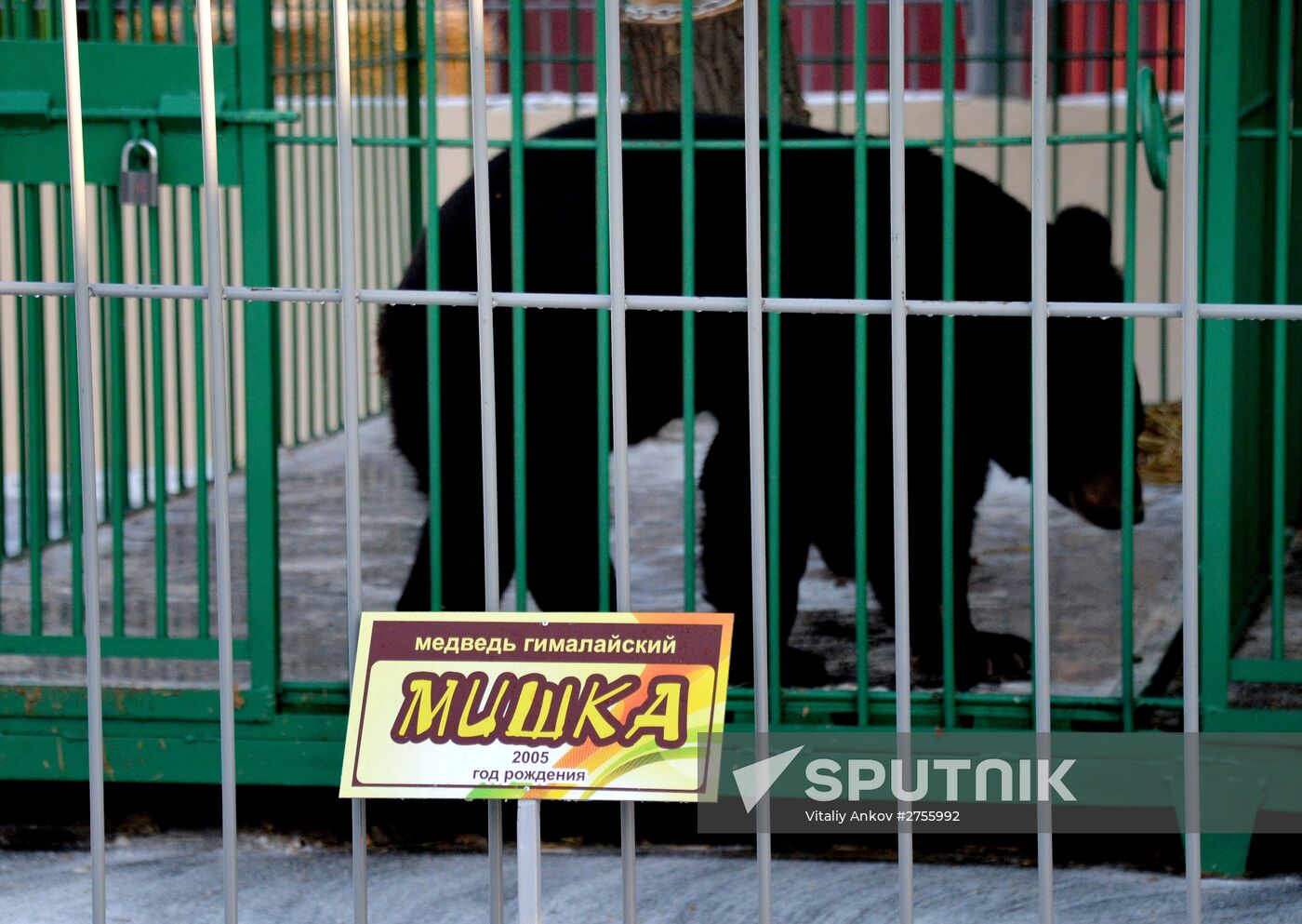 Zoo opens in Ussuriysk