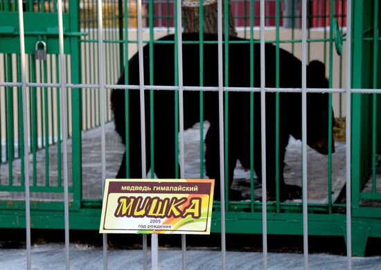 Zoo opens in Ussuriysk