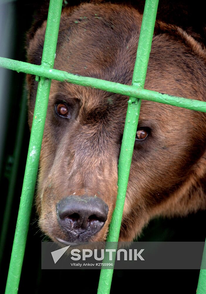 Zoo opens in Ussuriysk