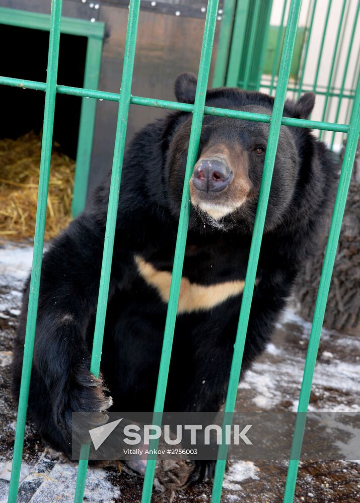 Zoo opens in Ussuriysk