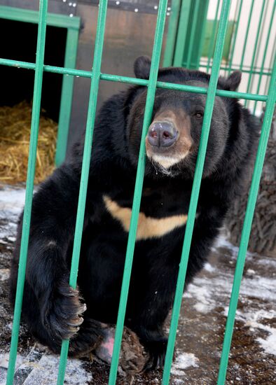 Zoo opens in Ussuriysk