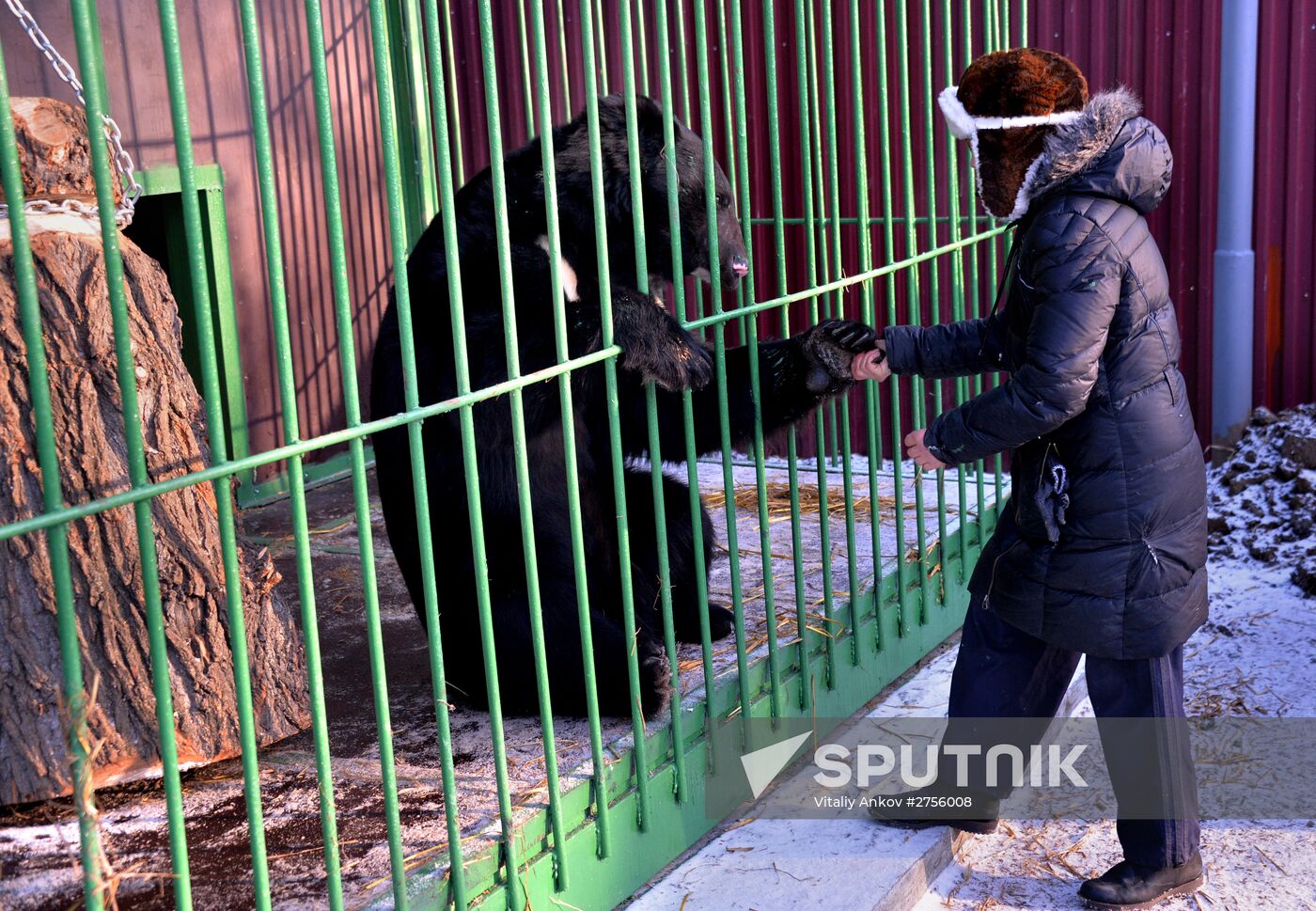 Zoo opens in Ussuriysk