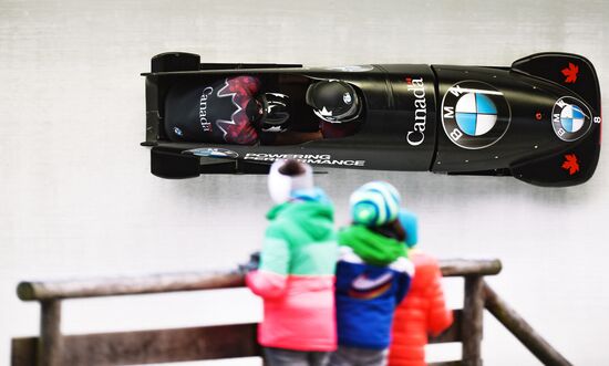 IBSF World Cup 3. Two-man bobsleigh