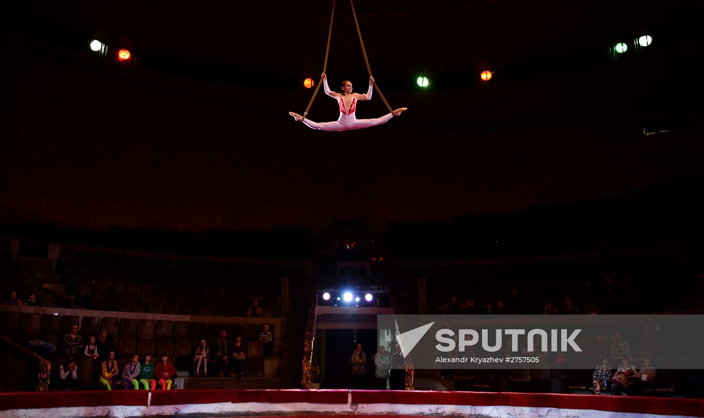 Arena Circus Festival in Novosibirsk