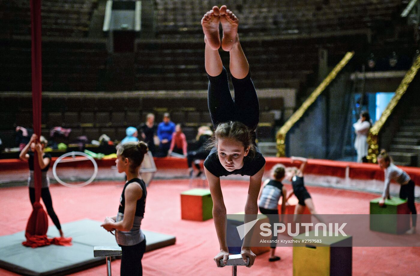 Arena Circus Festival in Novosibirsk