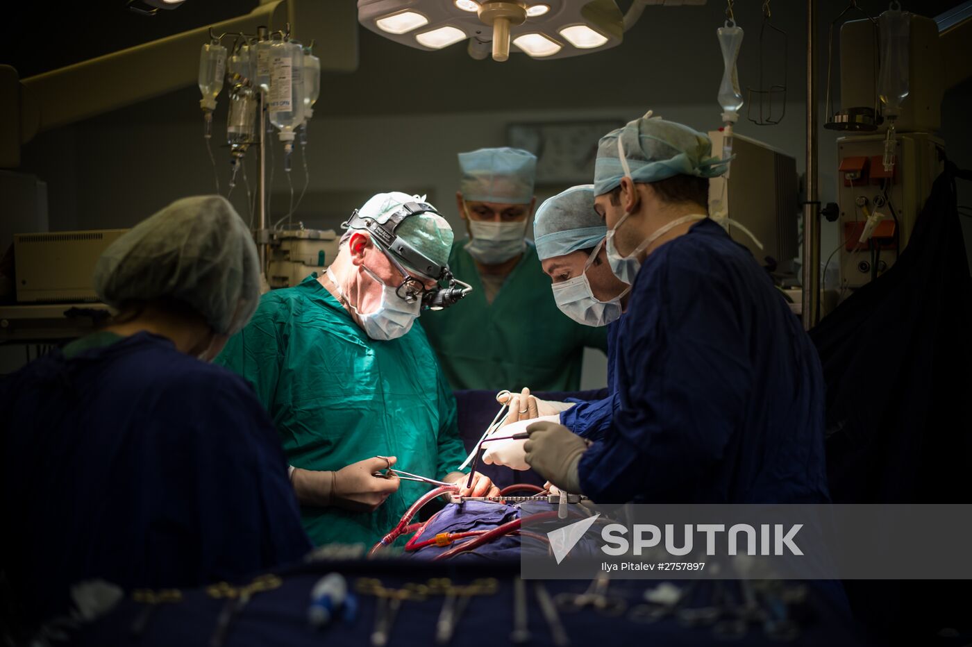 Cardiac surgeon Leo Bokeriya receives Order of Alexander Nevsky