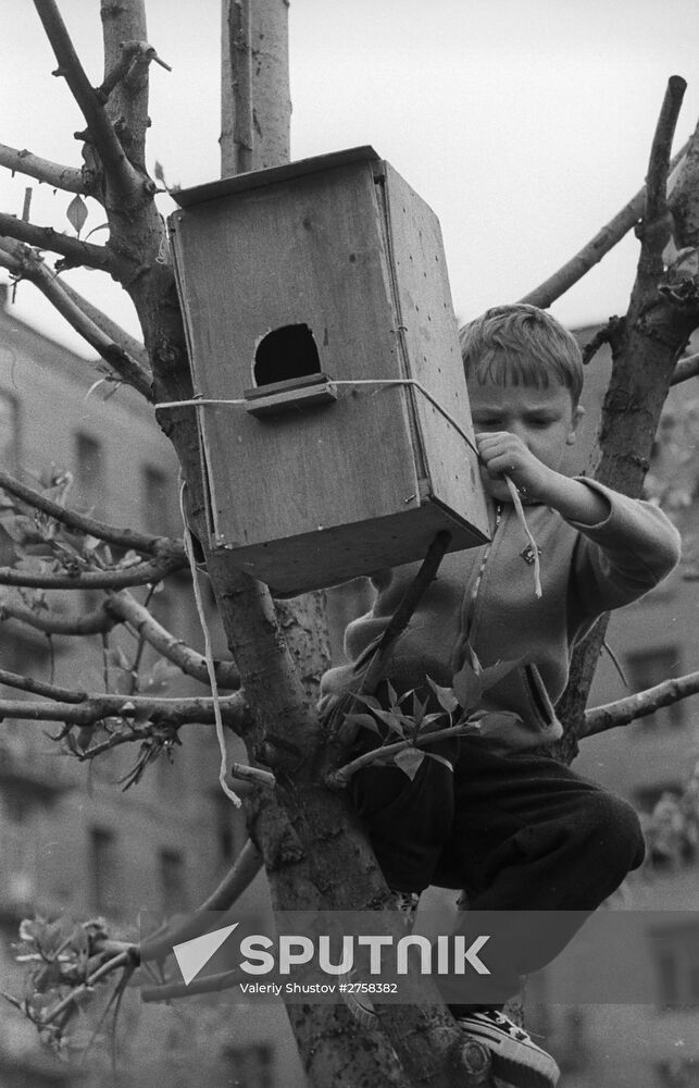 Birdhouse