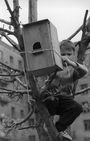 Birdhouse