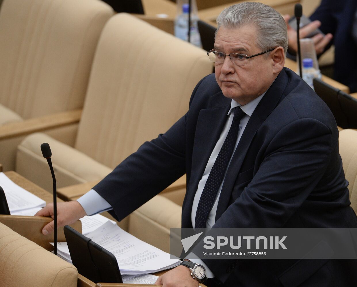 Plenary meeting of the State Duma of the Russian Federation