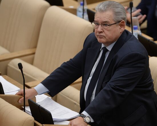Plenary meeting of the State Duma of the Russian Federation