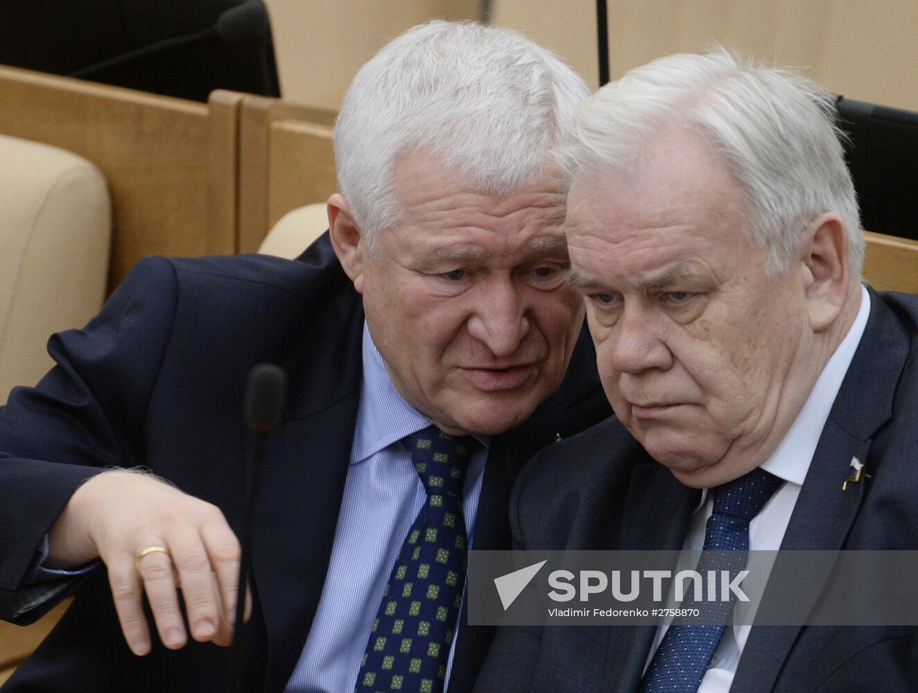 Plenary meeting of the State Duma of the Russian Federation