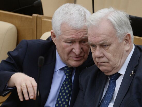 Plenary meeting of the State Duma of the Russian Federation