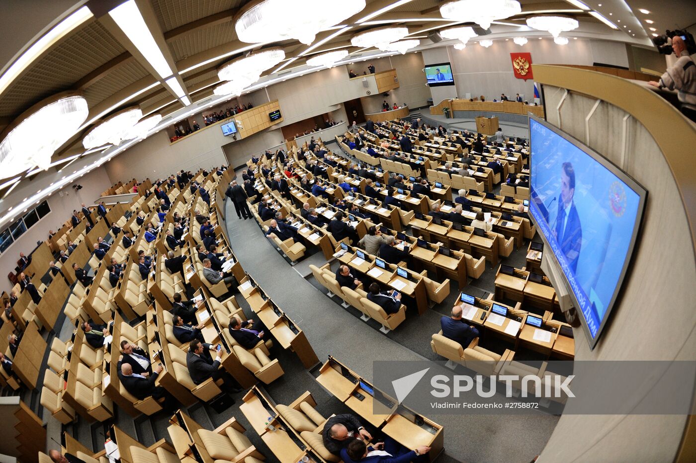 Plenary meeting of the State Duma of the Russian Federation