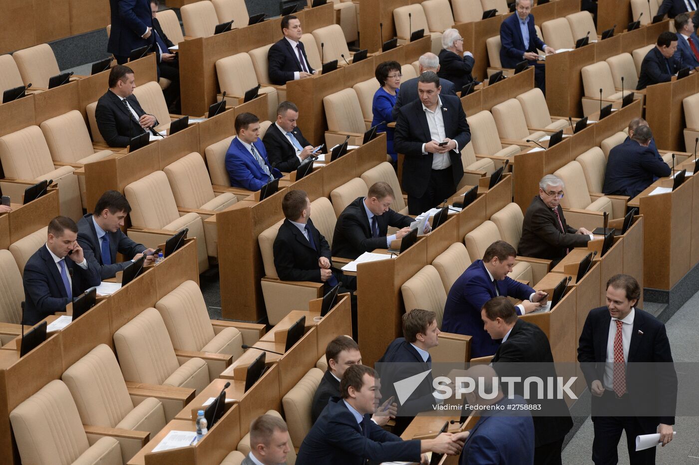 State Duma plenary meeting