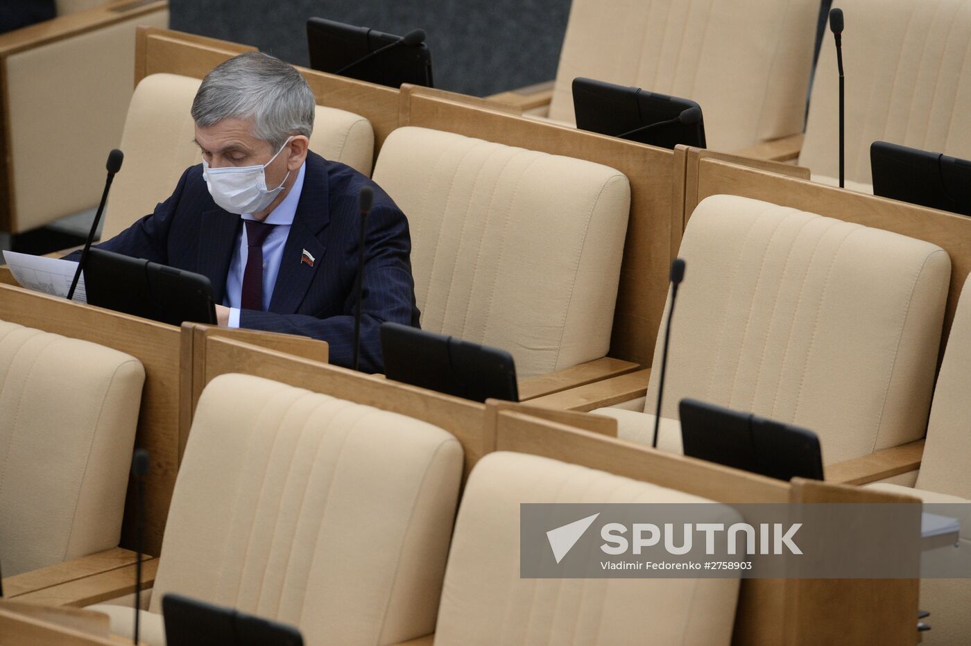 Plenary meeting of the State Duma of the Russian Federation