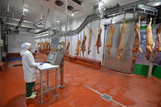 Ariant agricultural holding company launches unique meat processing plant