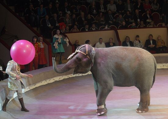 Ceremony of opening Big State Circus on Fontanka