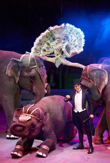 Ceremony of opening Big State Circus on Fontanka