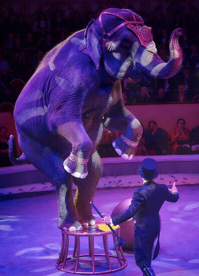 Ceremony of opening Big State Circus on Fontanka
