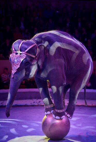 Ceremony of opening Big State Circus on Fontanka