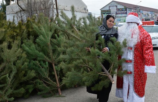 New Year preparations in Grozny
