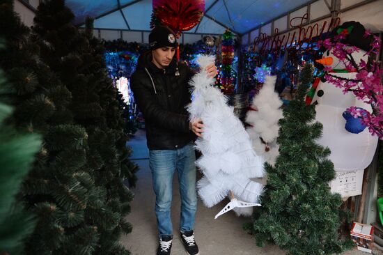 New Year preparations in Grozny