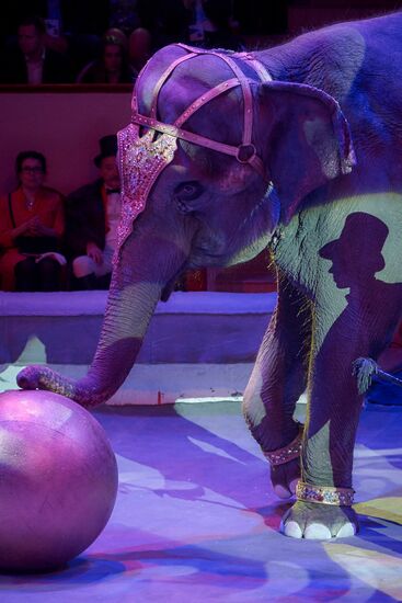 Ceremony of opening Big State Circus on Fontanka