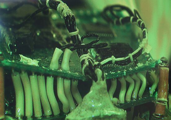 Decoding of "black boxes" from Su-24M plane downed in Syria on November 24