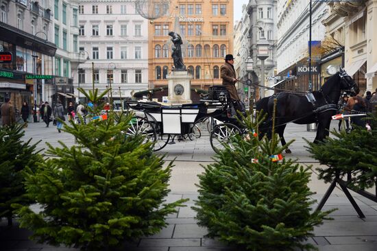 Christmas markets in Vienna