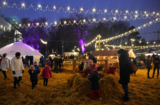 Christmas markets in Vienna