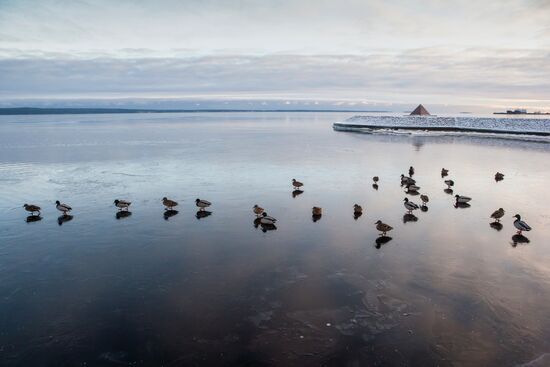 Lake Onega in Karelia