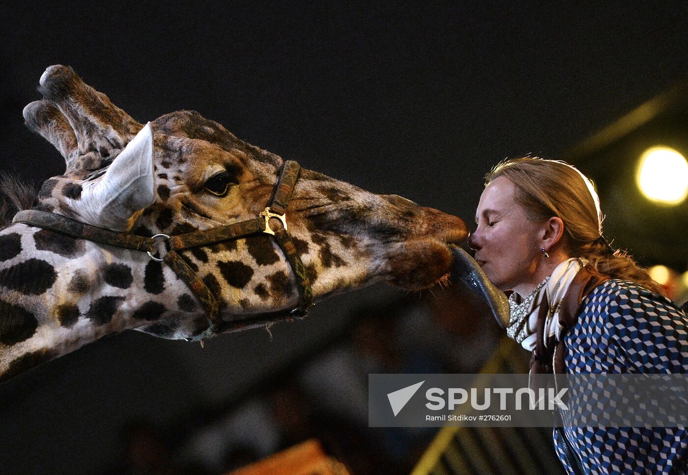 Big Animal Circus presents New Year program