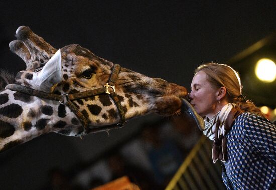 Big Animal Circus presents New Year program