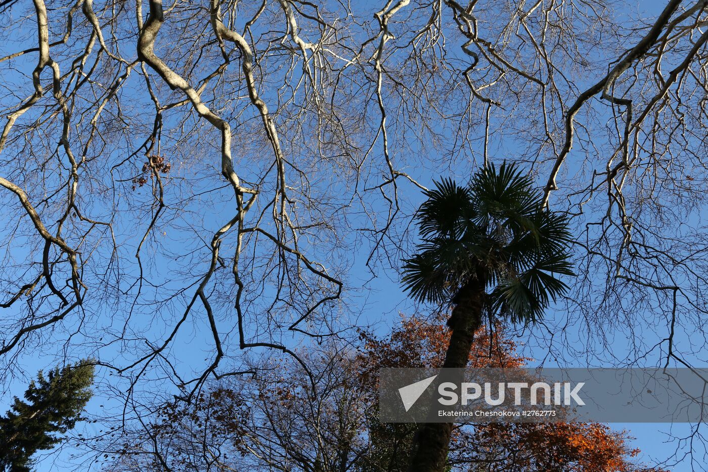 Cities of the world. Batumi