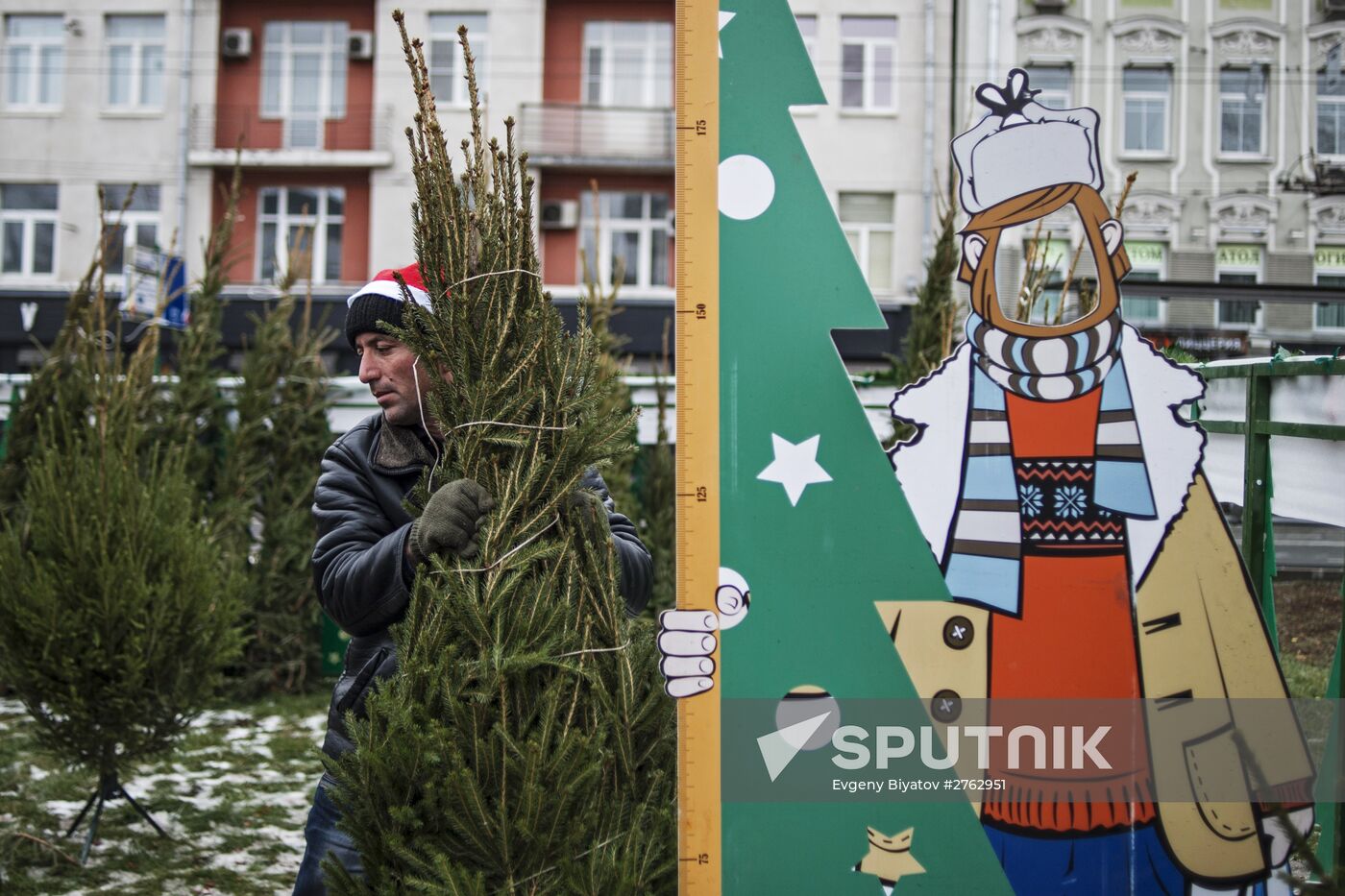 Christmas trees on sale in Moscow