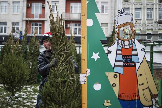 Christmas trees on sale in Moscow