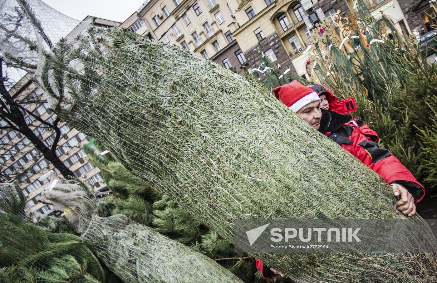 Christmas tree markets open in Moscow