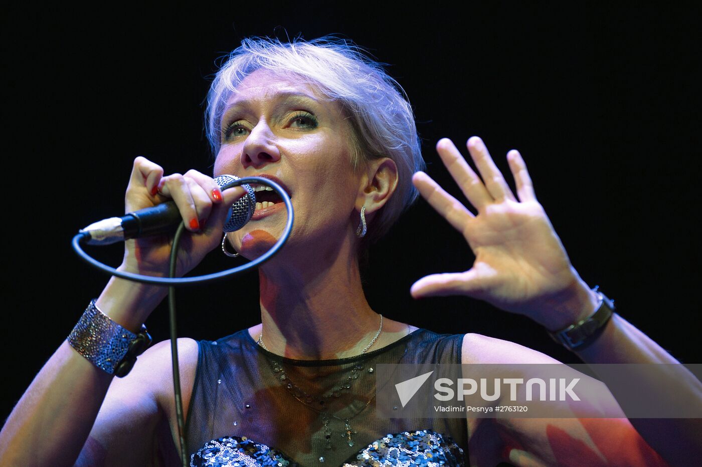 Irina Bogushevskaya's concert "Snowy Things"