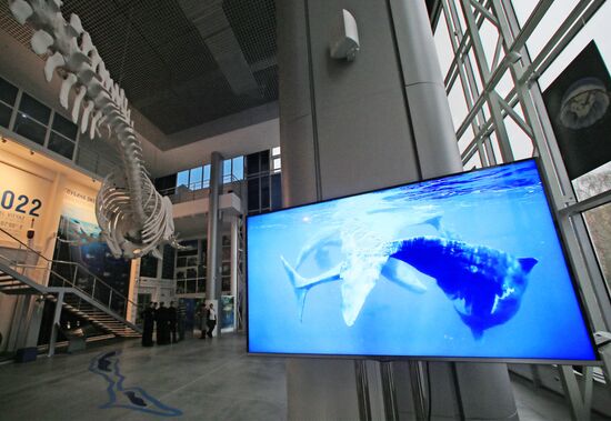 New building of World Ocean Museum opens in Kaliningrad