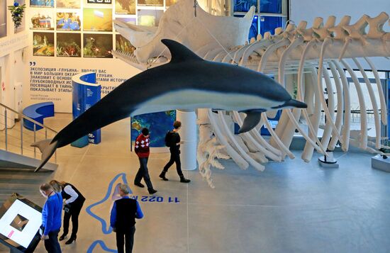 New building of World Ocean Museum opens in Kaliningrad