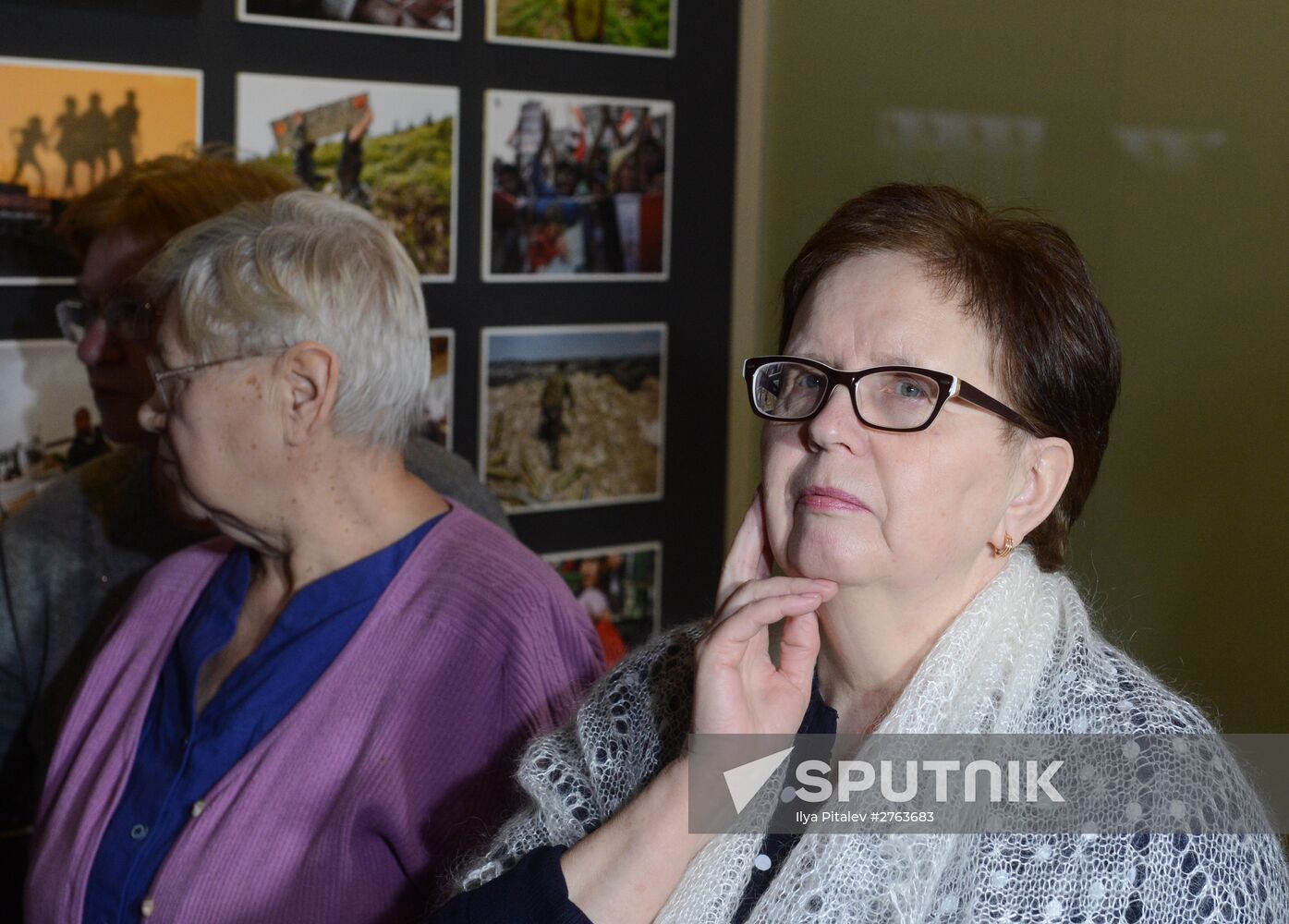 Opening of Andrei Stenin's photo exposition