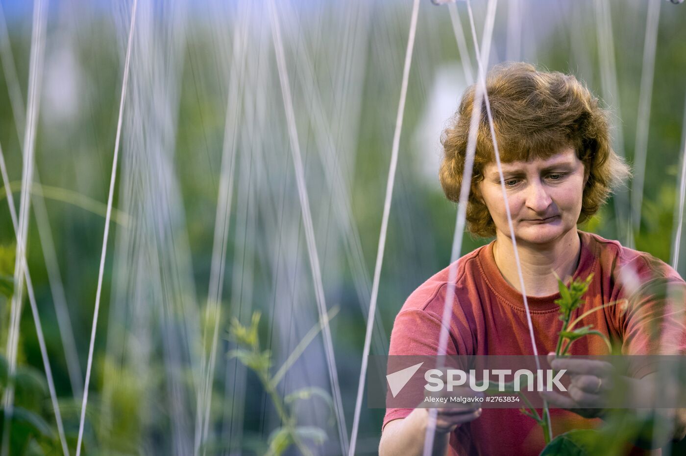 Agricultural center Druzhinino in Omsk region