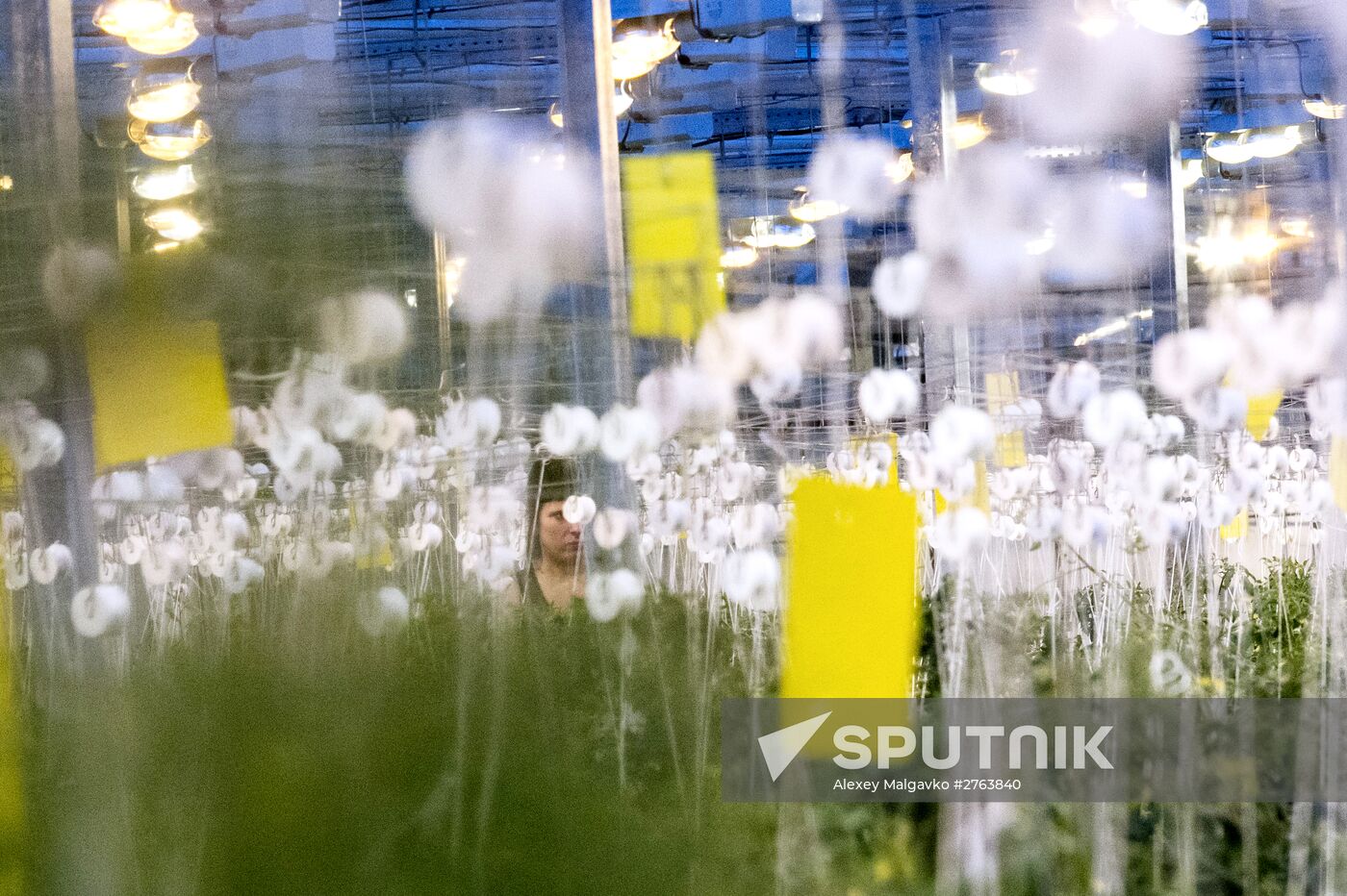 Agricultural center Druzhinino in Omsk region