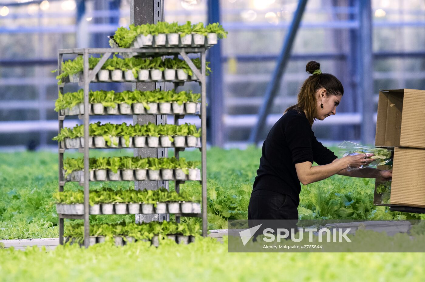 Agricultural center Druzhinino in Omsk region