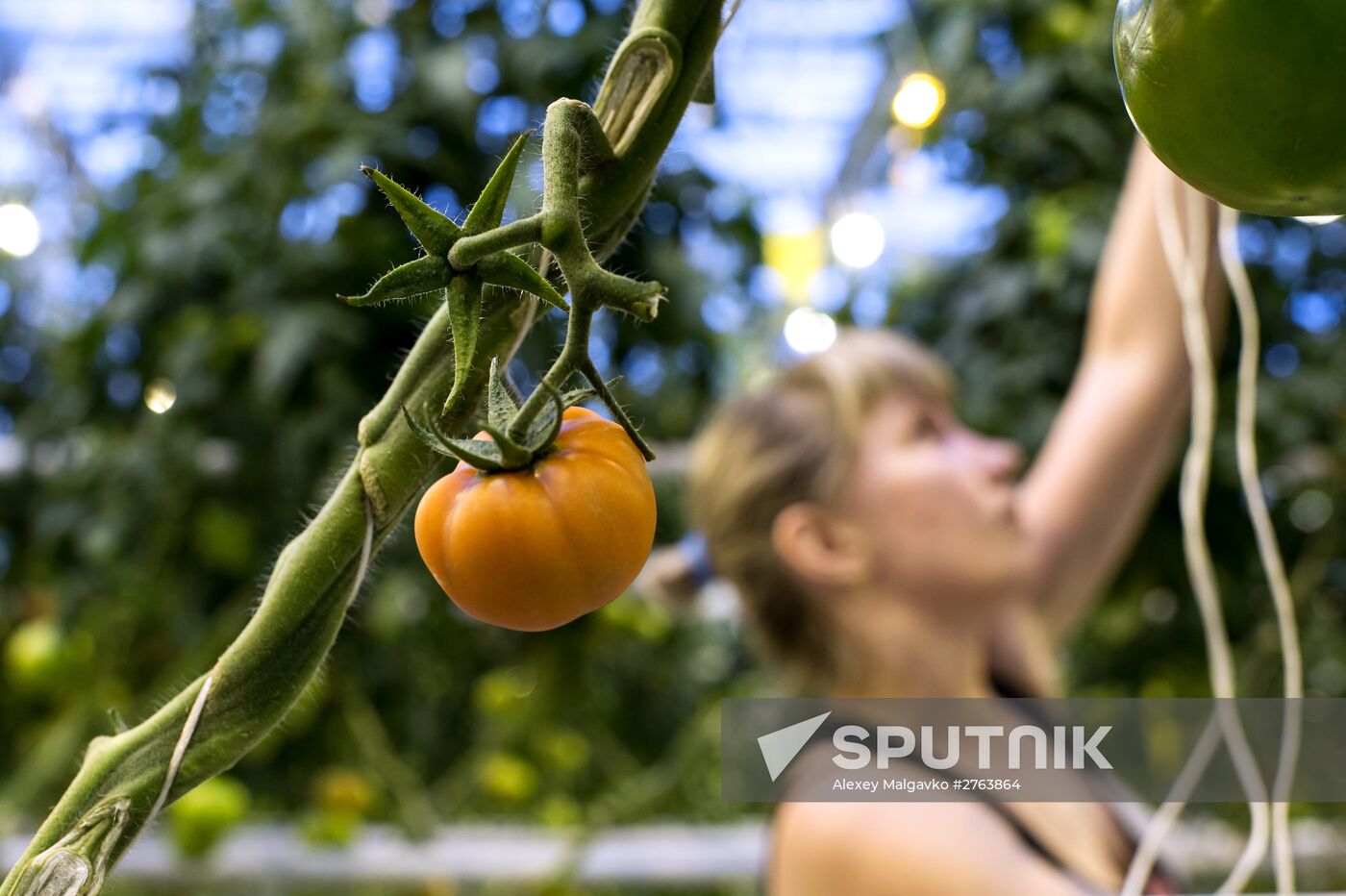 The Druzhino agricultural center in the Omsk Region