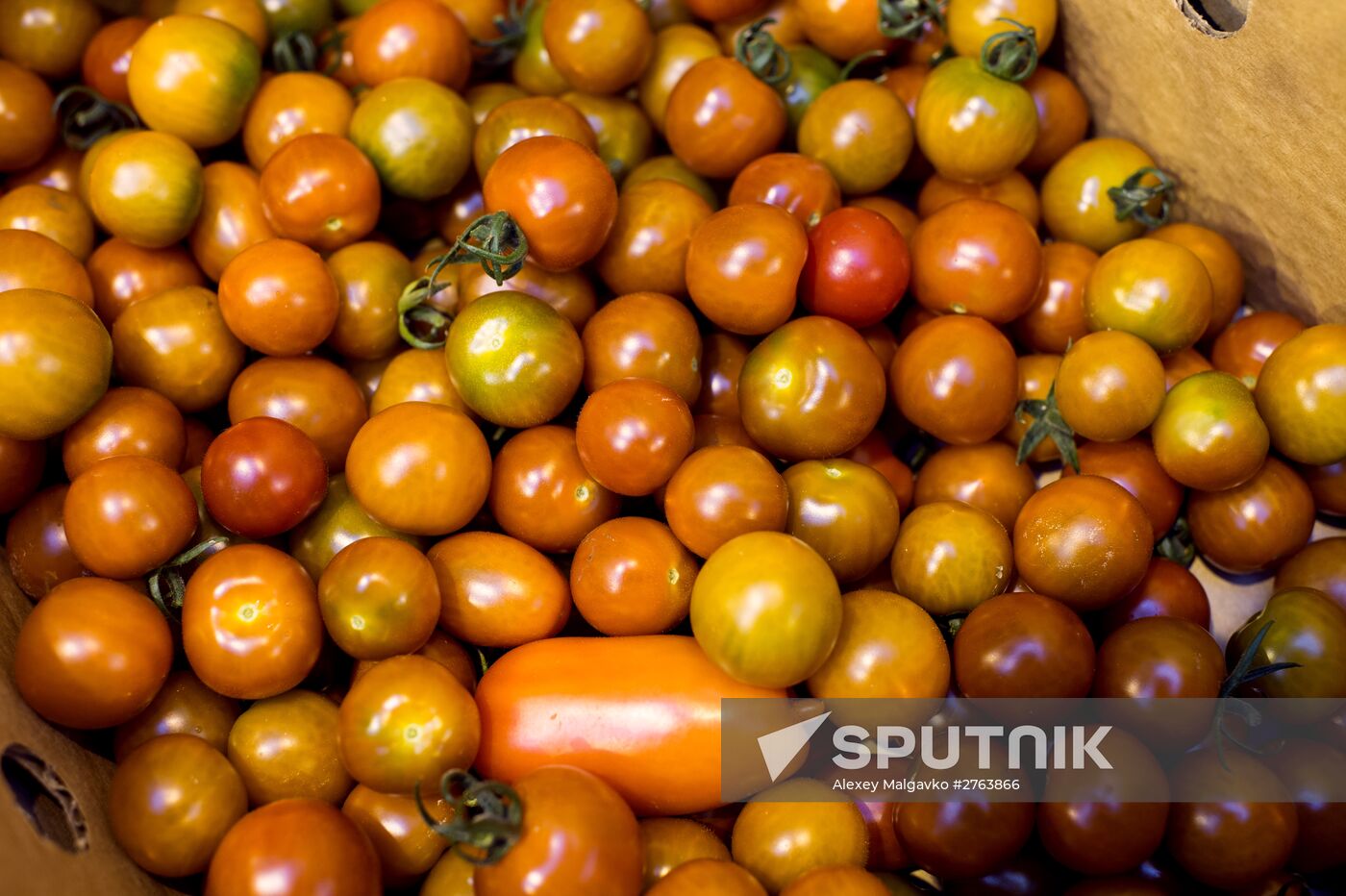 The Druzhino agricultural center in the Omsk Region